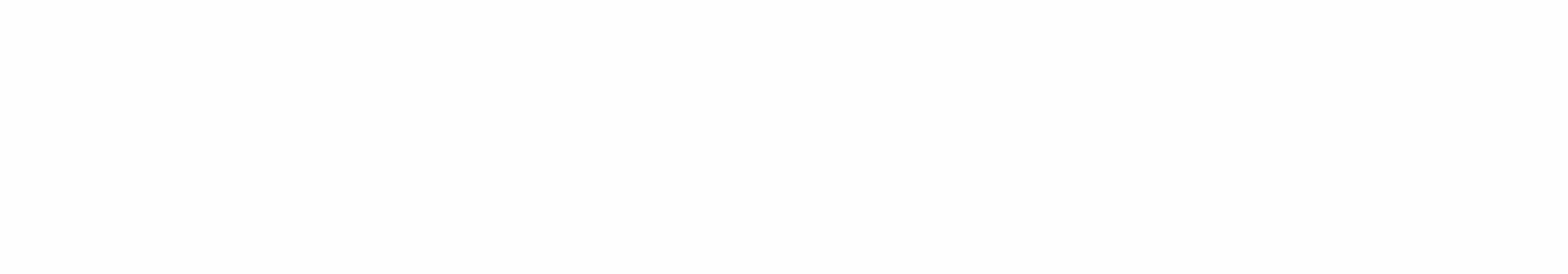 Logo weiss transparent2